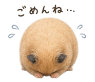 857897386