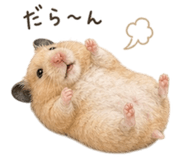 857897389