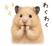 857897392