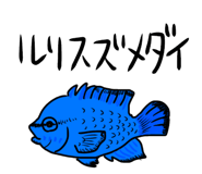 857897555