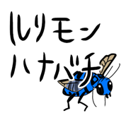 857897559