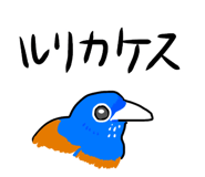 857897566