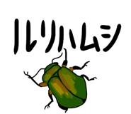 857897567
