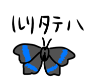 857897570