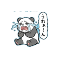 857898013