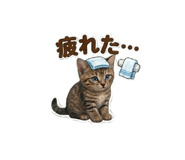 857898255