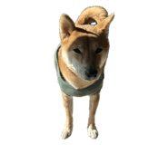 857898321