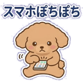 857898411
