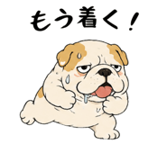 857899162