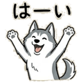857901355