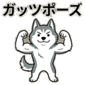 857901371