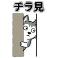 857901383