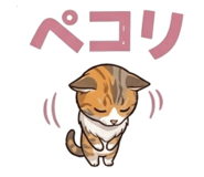 857902017