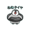 857902036