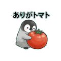 857902044
