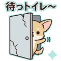 857902426