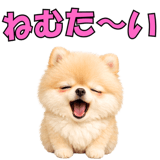 857903539