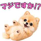 857903540