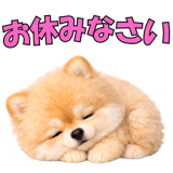 857903541
