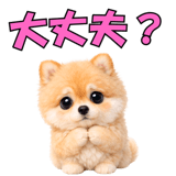 857903543