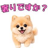 857903546