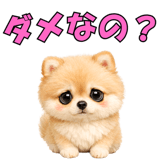 857903552