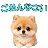 857903558