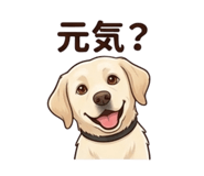 857903716