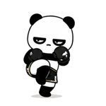 857904097