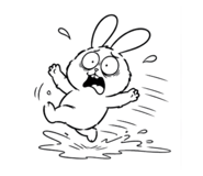 857906042