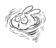 857906055