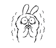 857906058