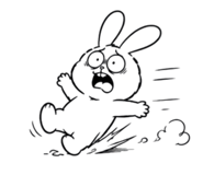 857906065
