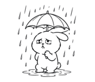 857906071