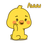 857906444