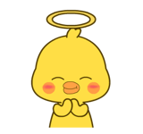 857906446