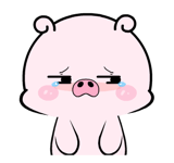 857906521