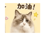 857908760