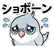 857910906