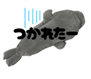 857910955
