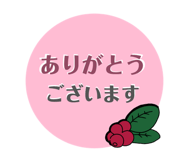 857920011