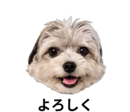 857928806
