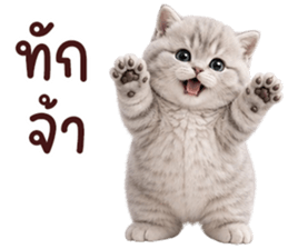 ❤️ตุ้ยนุ้ยแมวมูก้า❤️ รูปที่ 9