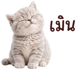 ❤️ตุ้ยนุ้ยแมวมูก้า❤️ รูปที่ 30