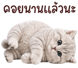 ❤️ตุ้ยนุ้ยแมวมูก้า❤️ รูปที่ 34