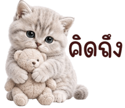 ❤️ตุ้ยนุ้ยแมวมูก้า❤️ รูปที่ 36