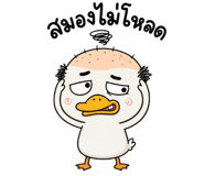 857932279