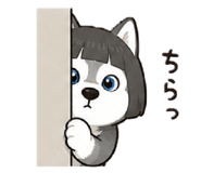 857936277