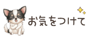 857939161