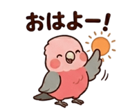 857939529